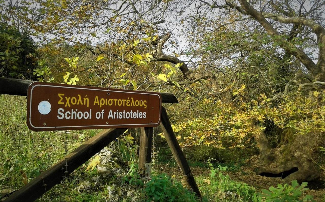 Mylos Arkohóri Kültér fotó